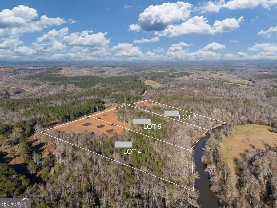 0 County Road 432 Lot 4 #L4, Woodland, AL 36280 - #3