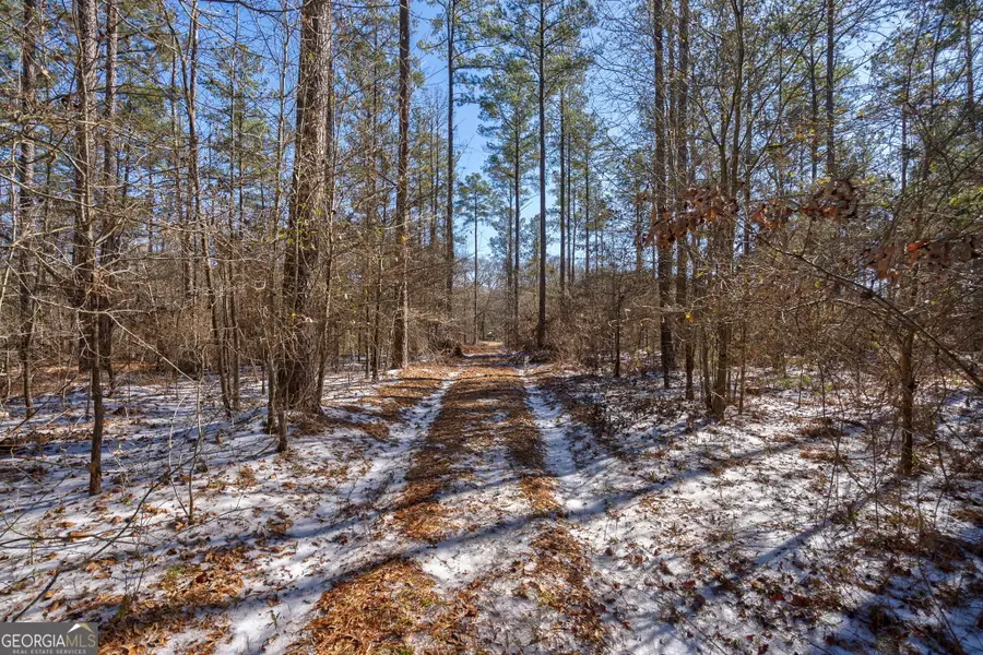 2821 Cole Springs Road, Bishop, GA 30621 - #3