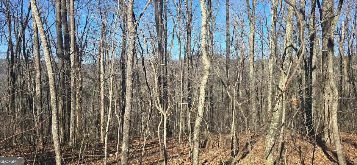 00001 Big Oak Drive, Jasper, GA 30143 - Image #1