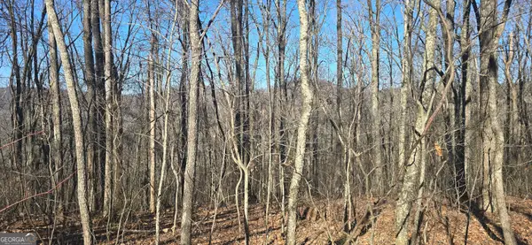 00001 Big Oak Drive, Jasper, GA 30143