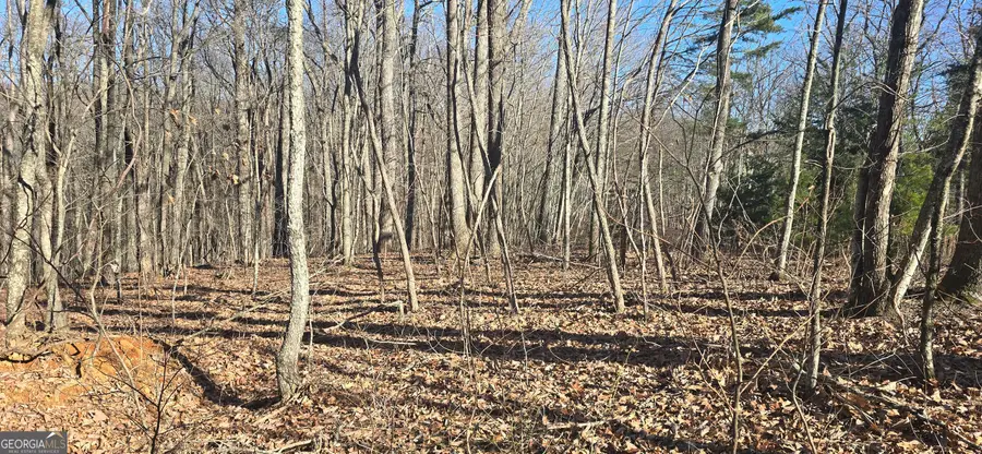 00001 Big Oak Drive, Jasper, GA 30143 - Image #3