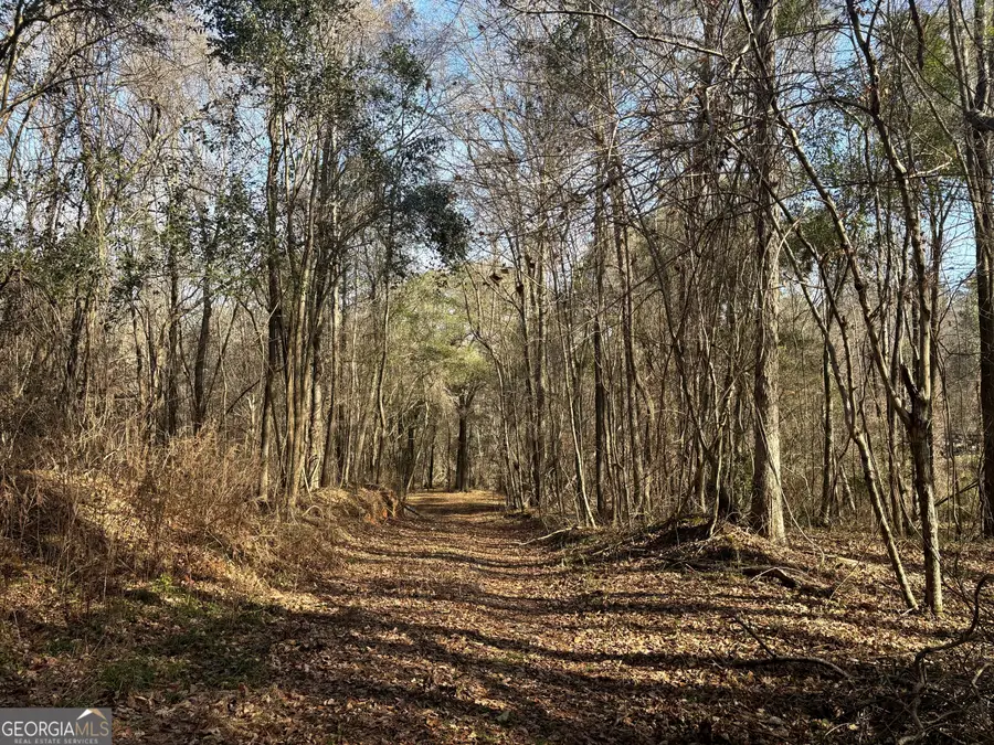 6411 Columbus Road, Lizella, GA 31052 - Image #2