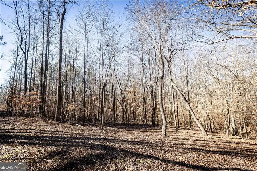 391 Marvin Land Lane, Canton, GA 30115 - #2