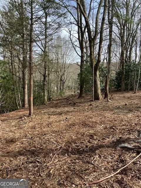 00 Dillard Rd, Highlands, NC 28741 - Image #2