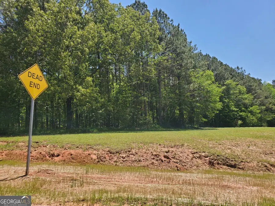 110 Hogan Pond Lane, Ball Ground, GA 30107 - #3