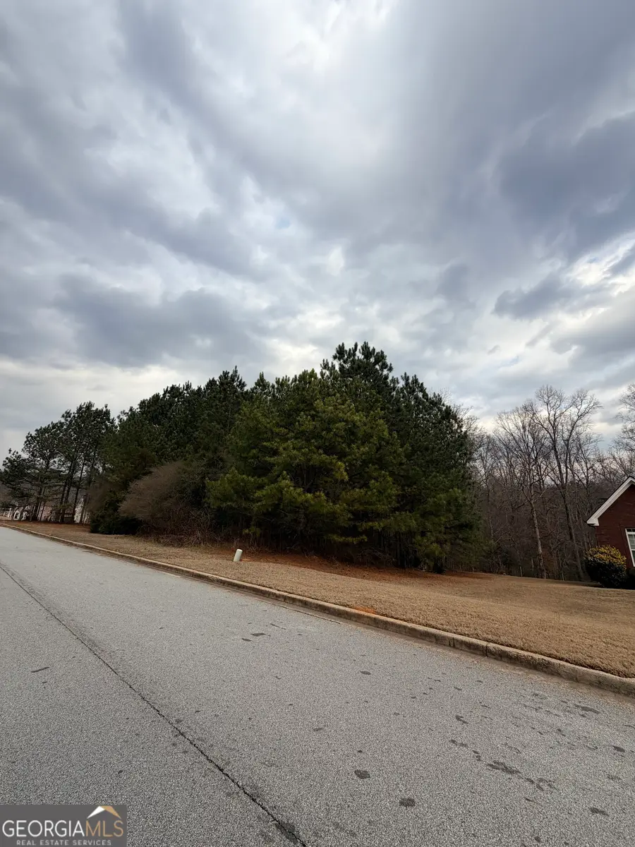 194 Johns Creek Lane, Stockbridge, GA 30281 - Image #3