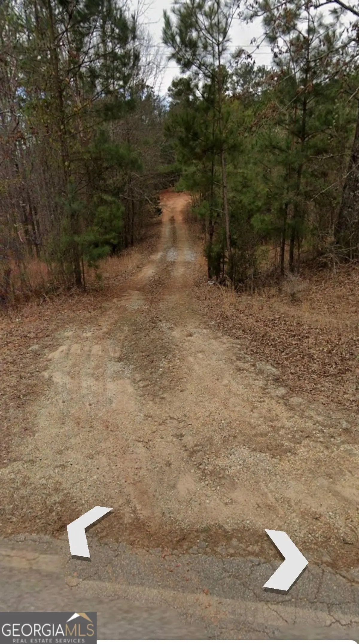 1045 High Falls Road, Jackson, GA 30233 - #1