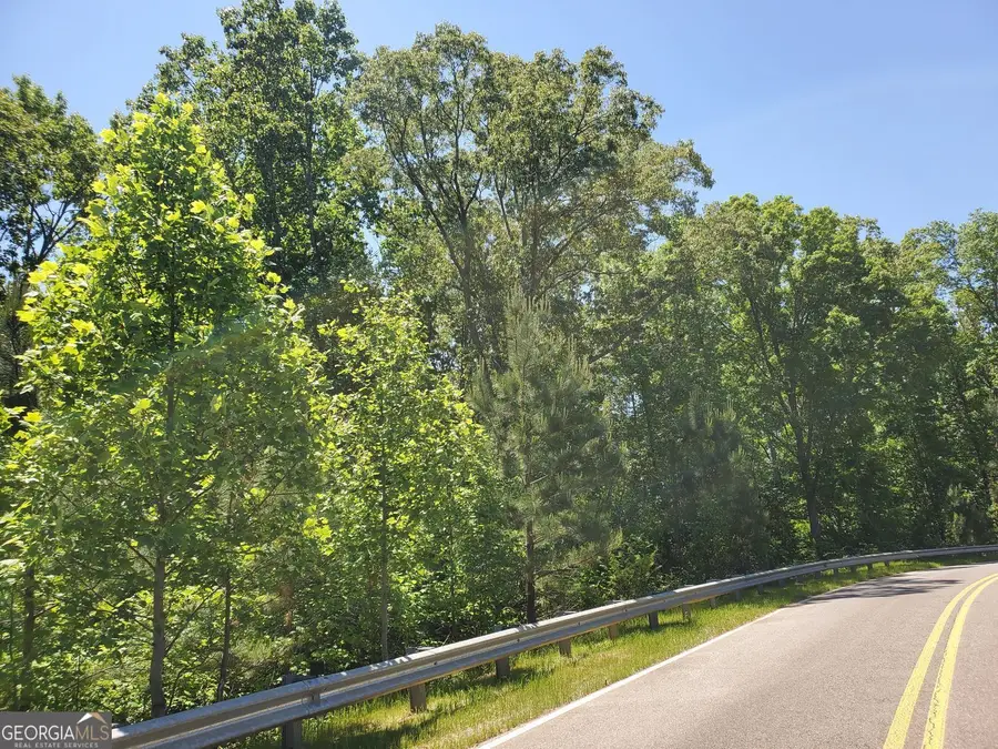 4537 Ball Ground Road, Ball Ground, GA 30107 - #2