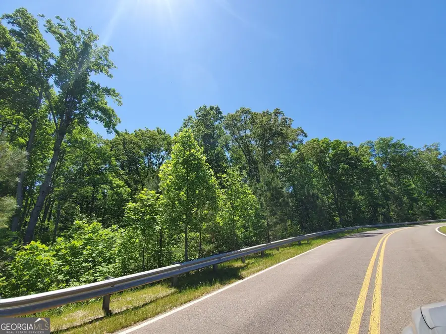 104 Hogan Pond Lane, Ball Ground, GA 30107 - #3