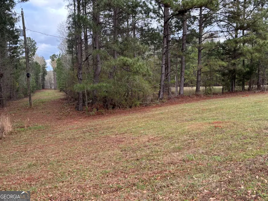 2955 Peeksville Road, Locust Grove, GA 30248 - #3