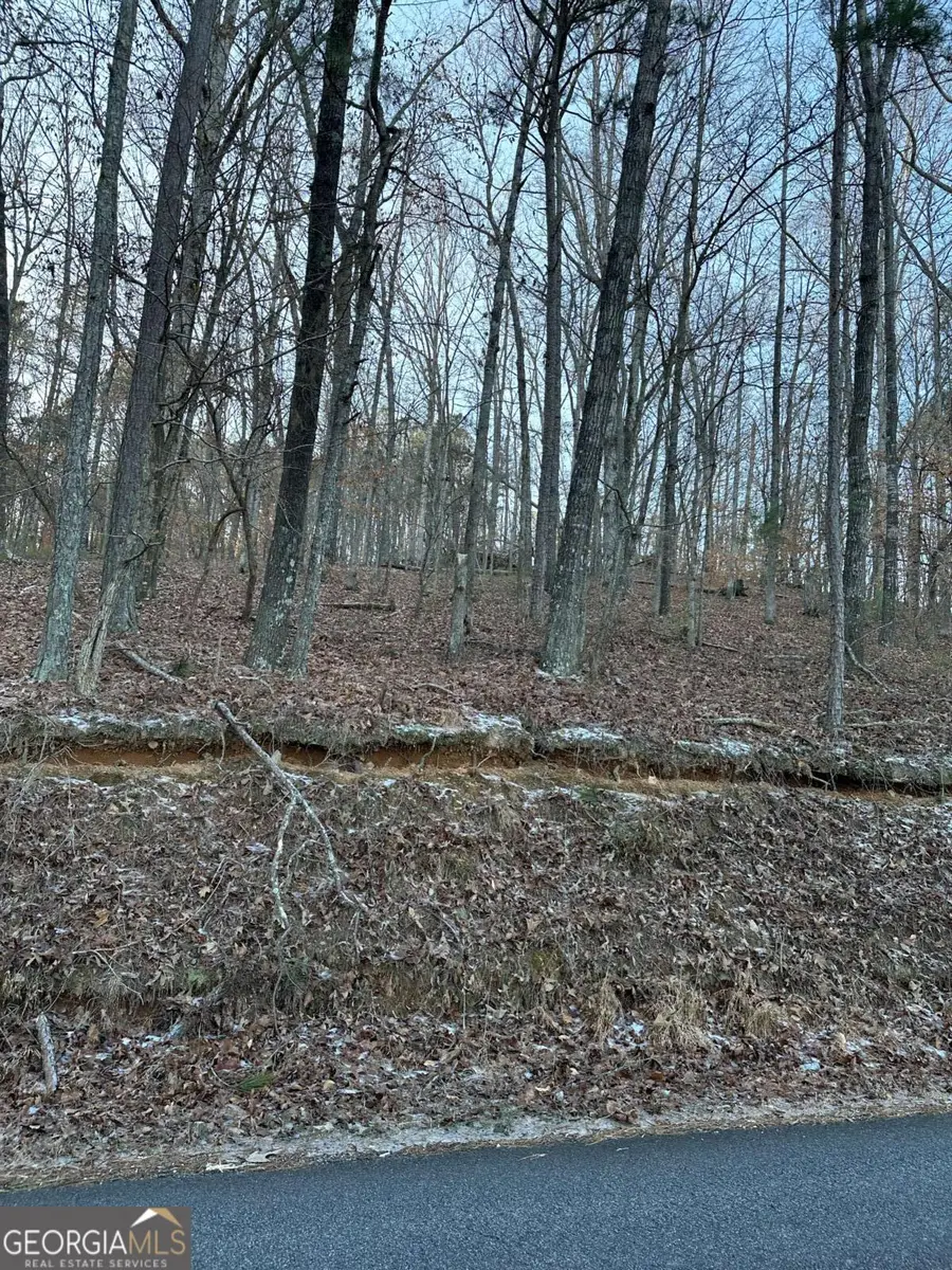 1148 Cokers Chapel Road, Ball Ground, GA 30107 - #2