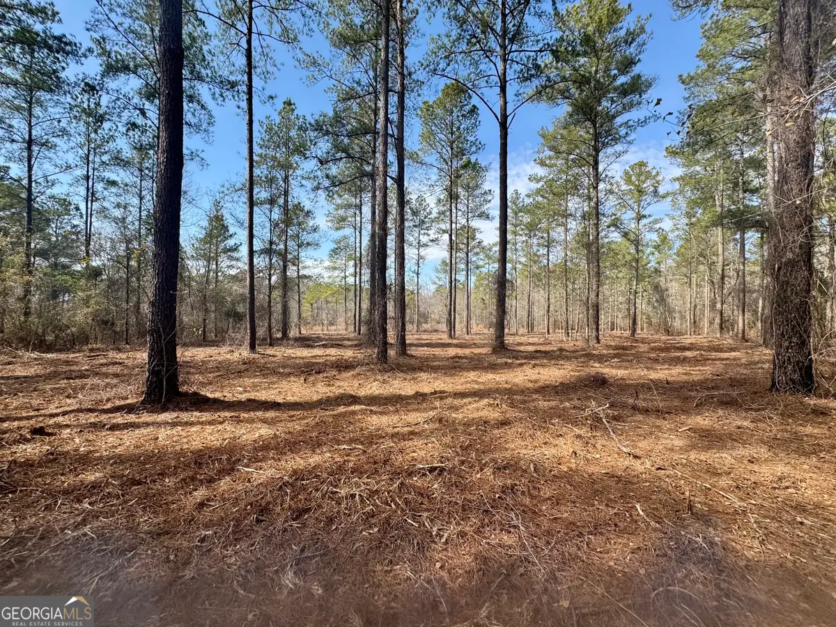 000 Mosley Bridge Road, Claxton, GA 30417 - Image #1