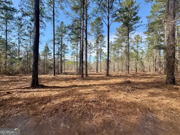 000 Mosley Bridge Road, Claxton, GA 30417