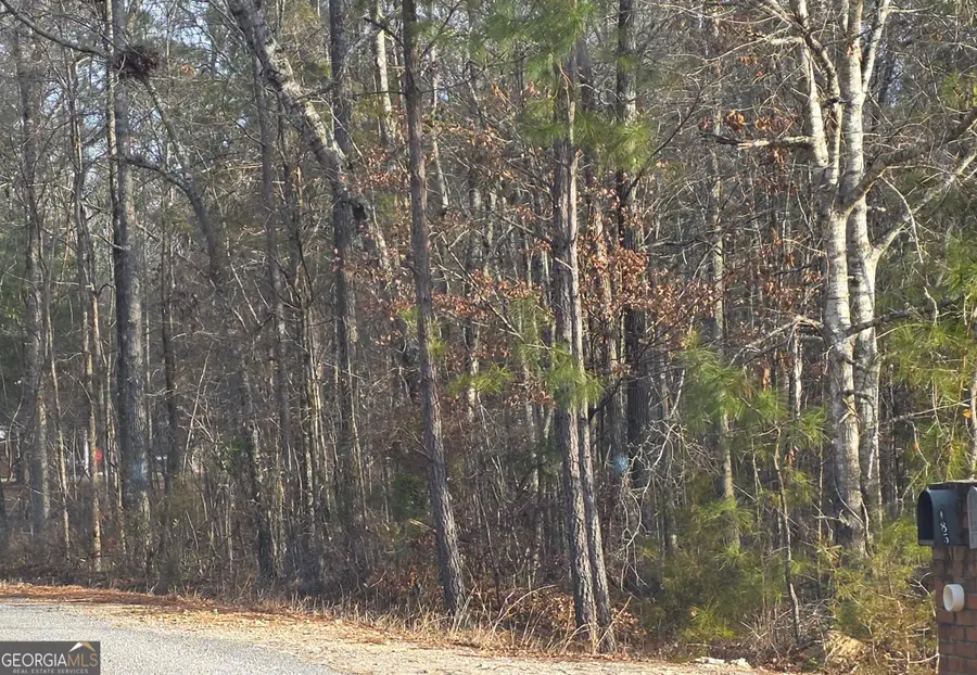 0 Lee Rd 143, Salem, AL 36874 - Image #3