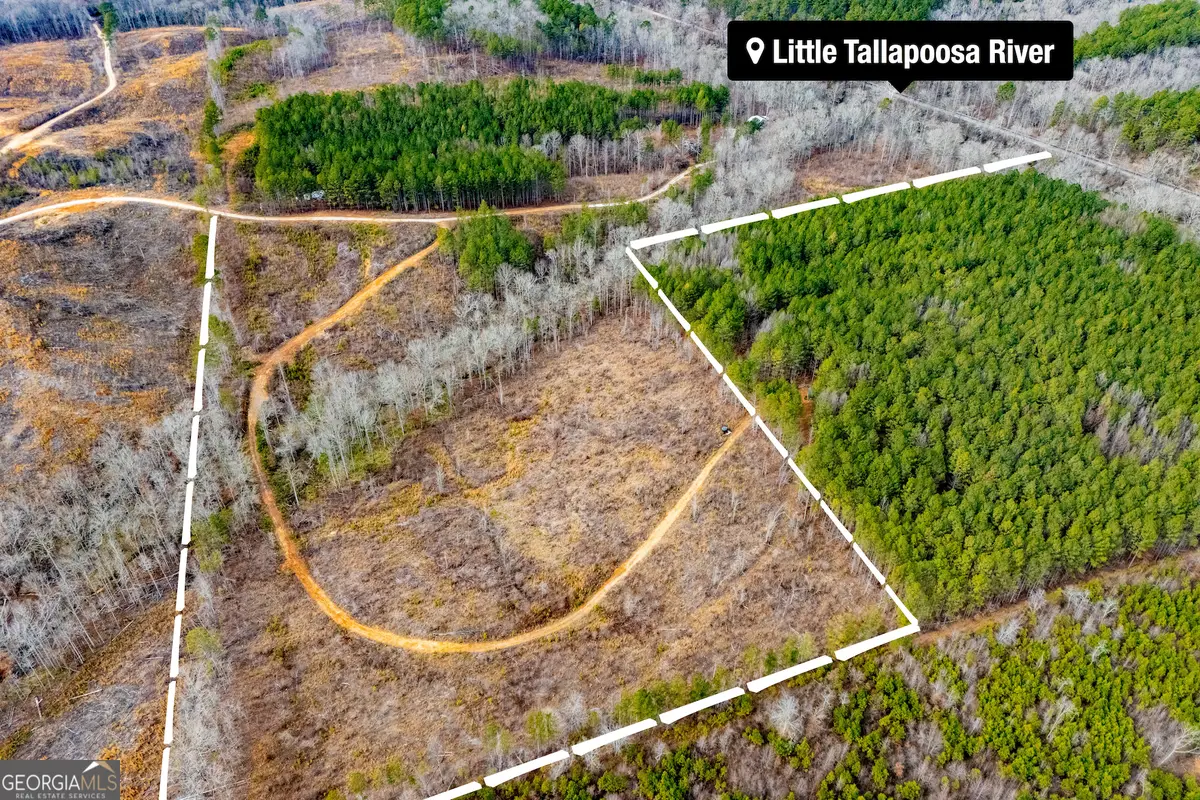 1365 County Road 290, Muscadine, AL 36269 - #1