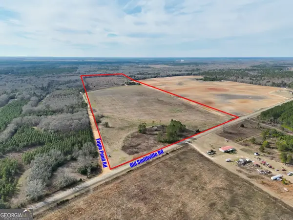 0 Eagle Pond / Old Smithville Road, Leesburg, GA 31763