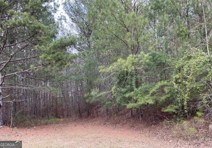 0 Ridge Drive, Tallapoosa, GA 30176 - #2