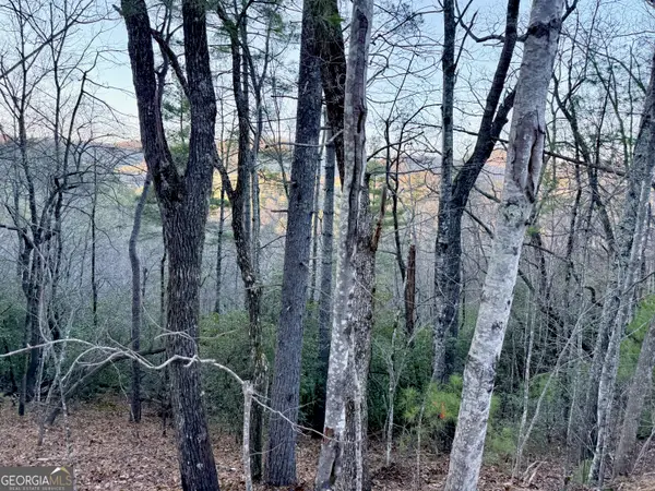 0 Timber Bluff Dr, Clayton, GA 30525