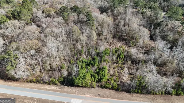 60 Anderson Road, Claxton, GA 30417