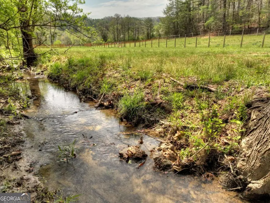 0 Hells Hollow Road, Blue Ridge, GA 30513 - #2