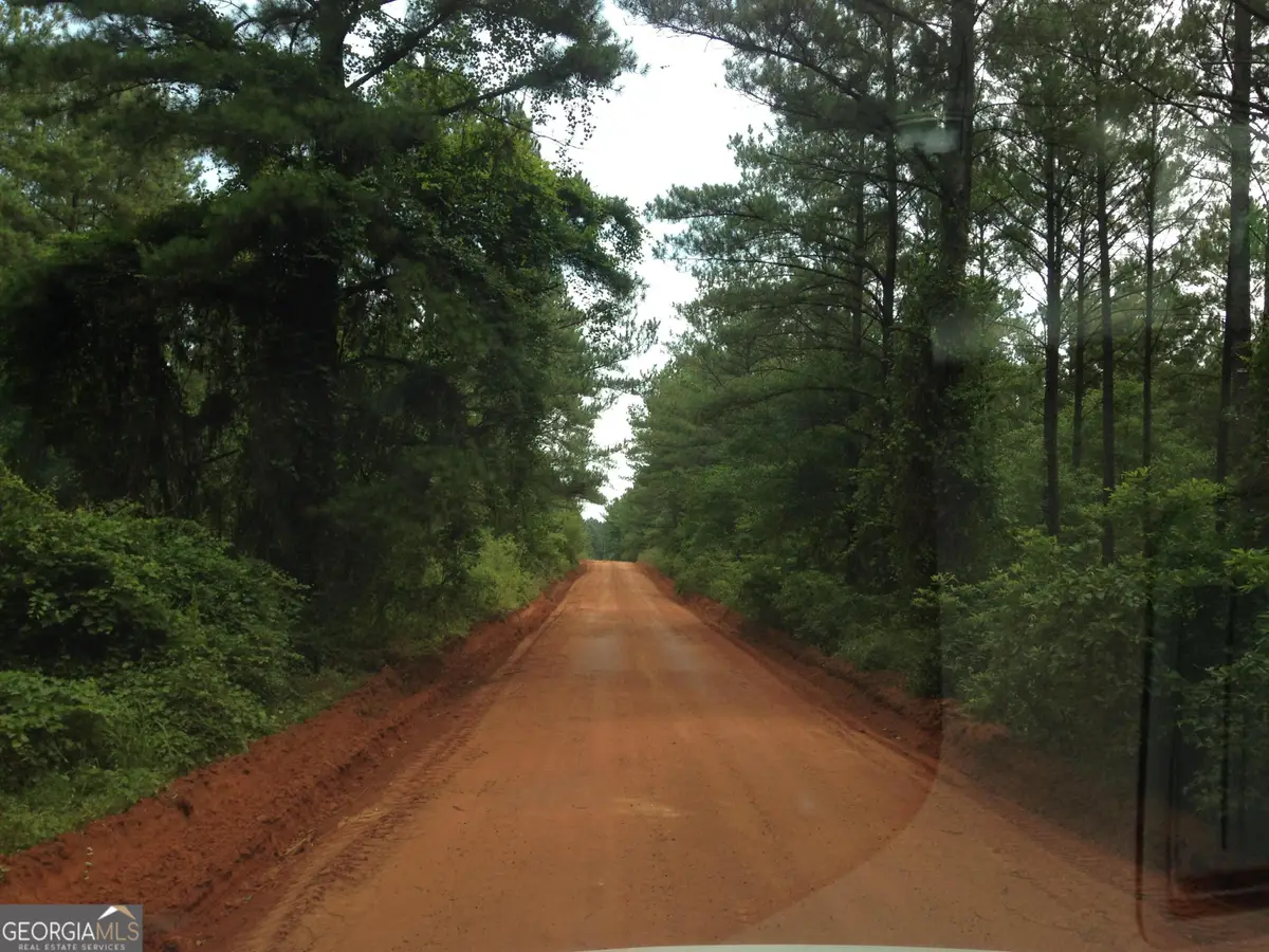 0 Devoe Road, Andersonville, GA 31711 - #1