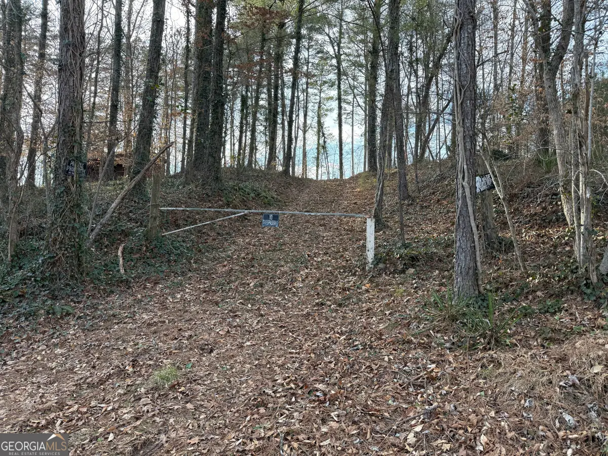 0 Old Georgia Road, Heflin, AL 36264 - #1