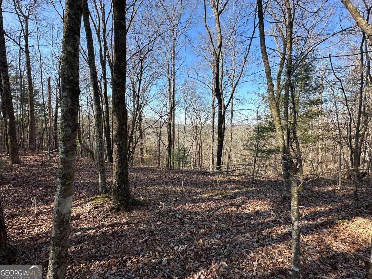 LOT 1640 Hunter Drive #1640, Talking Rock, GA 30175 - #1
