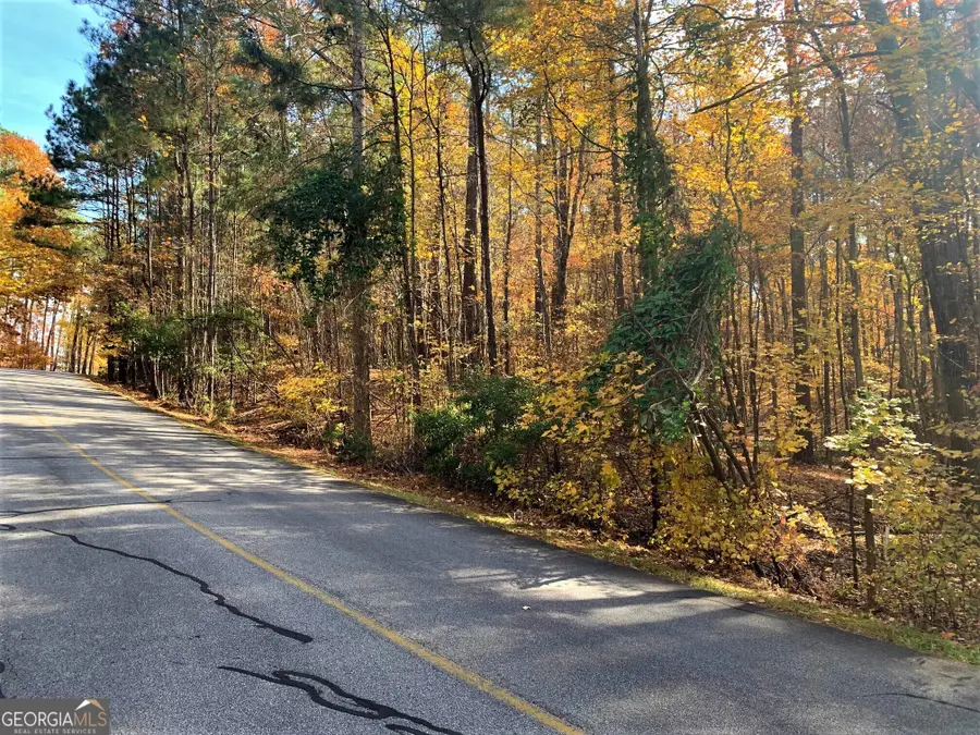 1520 Snug Harbor Drive, Greensboro, GA 30642 - #3