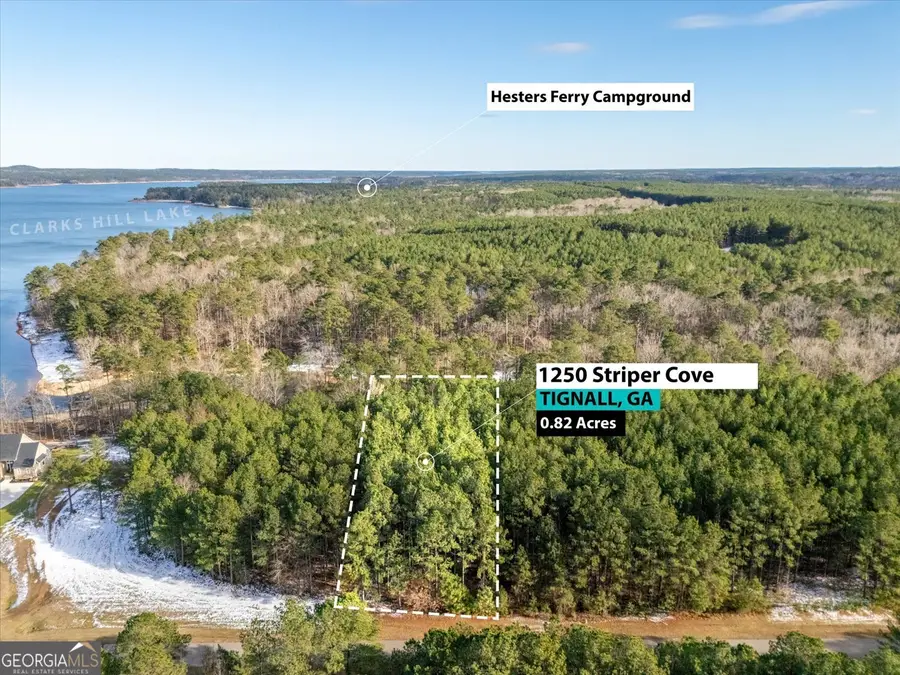 1250 Striper Cove, Tignall, GA 30668 - Image #2