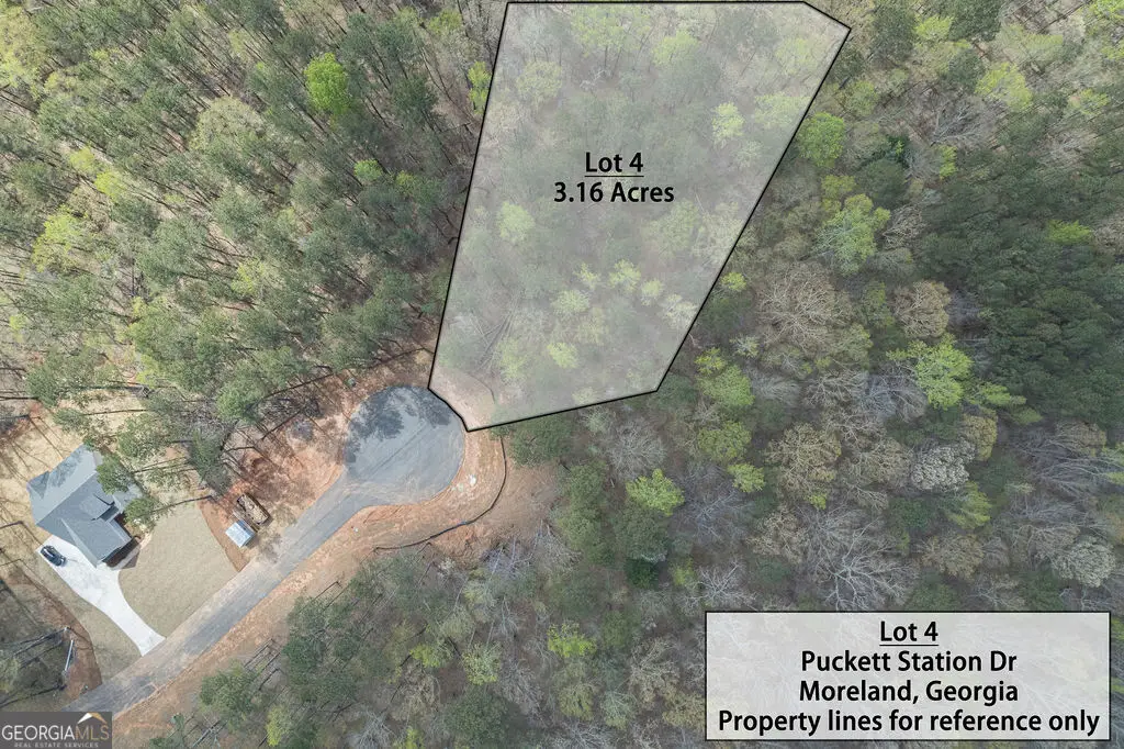 LOT 4 Puckett Station No Street Suffix, Moreland, GA 30259 - #1