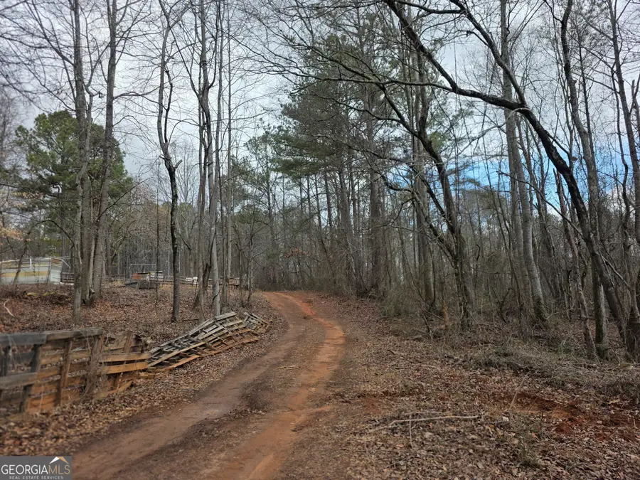 1684 Mandeville Road, Bremen, GA 30110 - #3