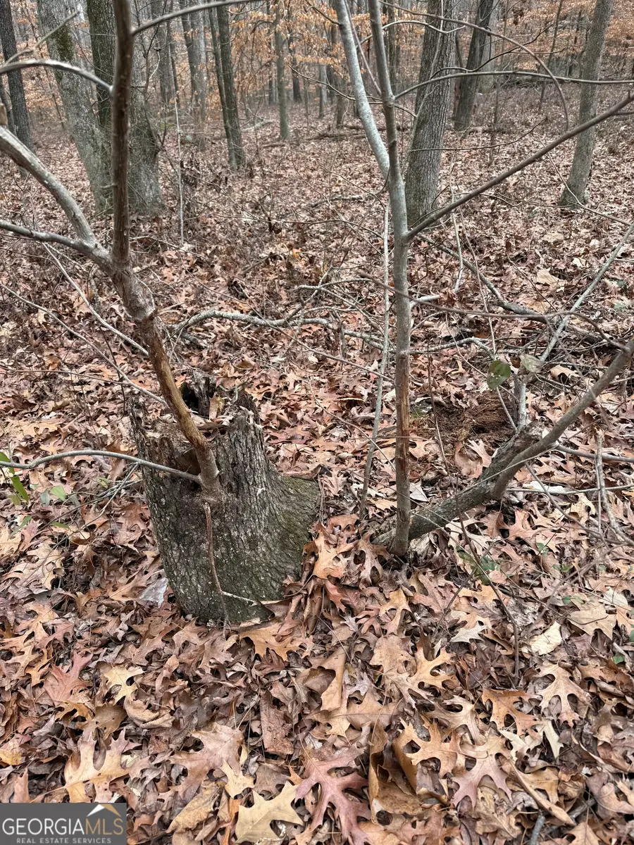 805 Tarpkins Road, Commerce, GA 30530 - #2