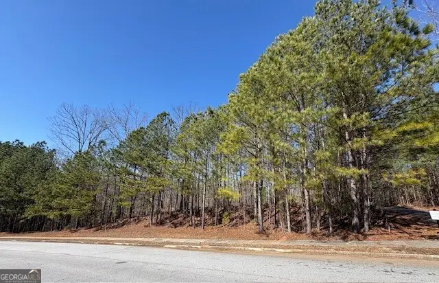 4340 Blue Ridge Drive, Douglasville, GA 30135 - #1