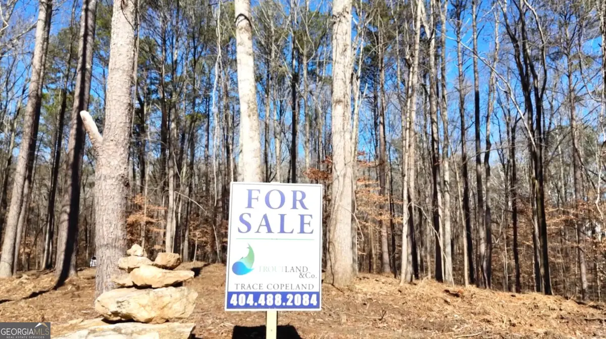 6147 Little Ridge Road #LOT 2, Acworth, GA 30102 - #1