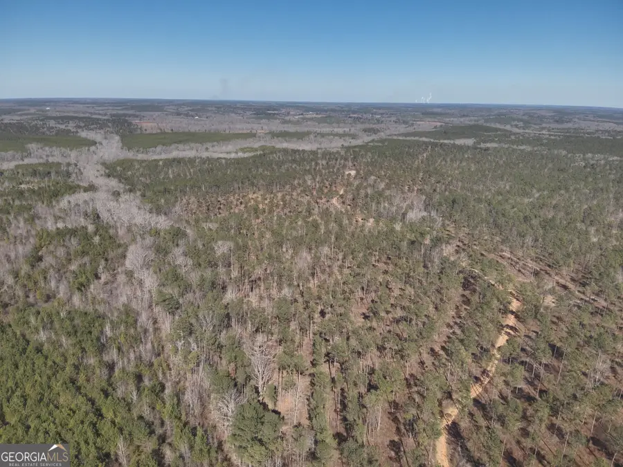 0 Highway 42, Musella, GA 31066 - #2