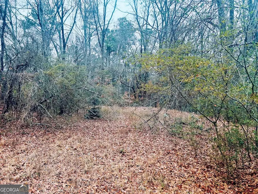 0 Sw Flat Shoals Road #LOT A, Conyers, GA 30094 - Image #3