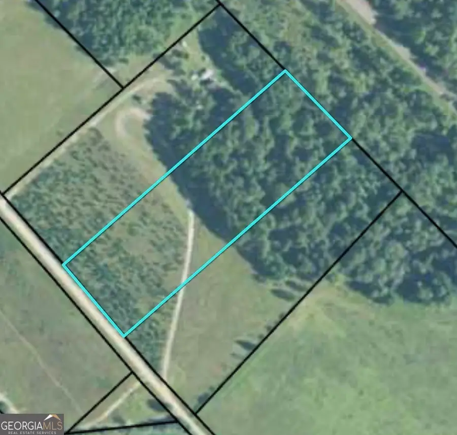 664 Mount Carmel Church Road, Alamo, GA 30411 - #3