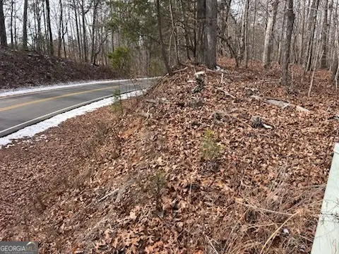 0 Holly Springs Road #TRACT 2, Toccoa, GA 30577