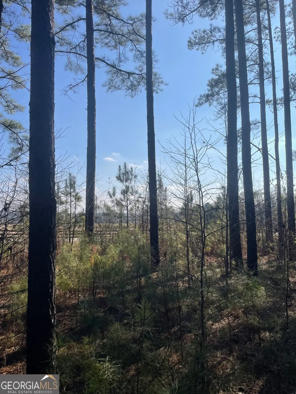 00 Hebron Church Road, Thomaston, GA 30286 - Image #1