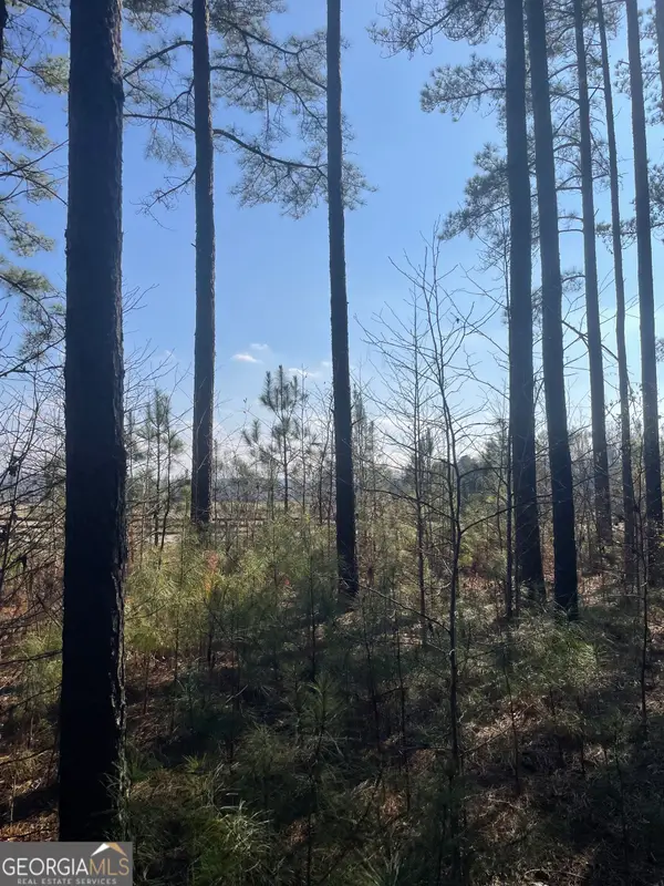 00 Hebron Church Road, Thomaston, GA 30286