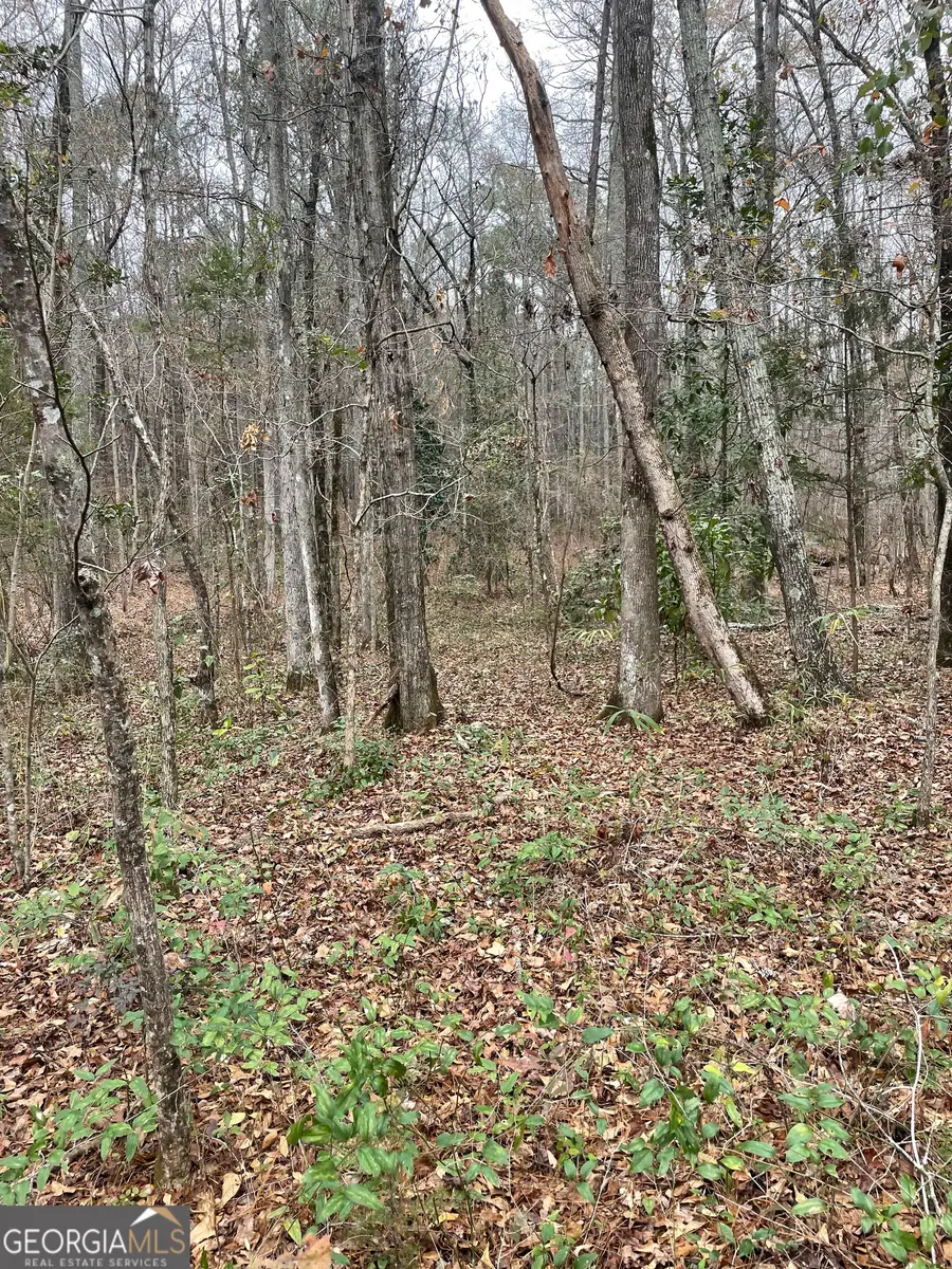 00 Hebron Church Road, Thomaston, GA 30286 - Image #2