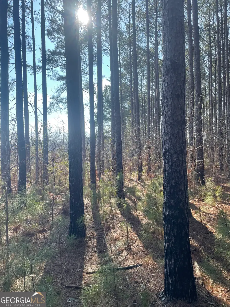 00 Hebron Church Road, Thomaston, GA 30286 - Image #3