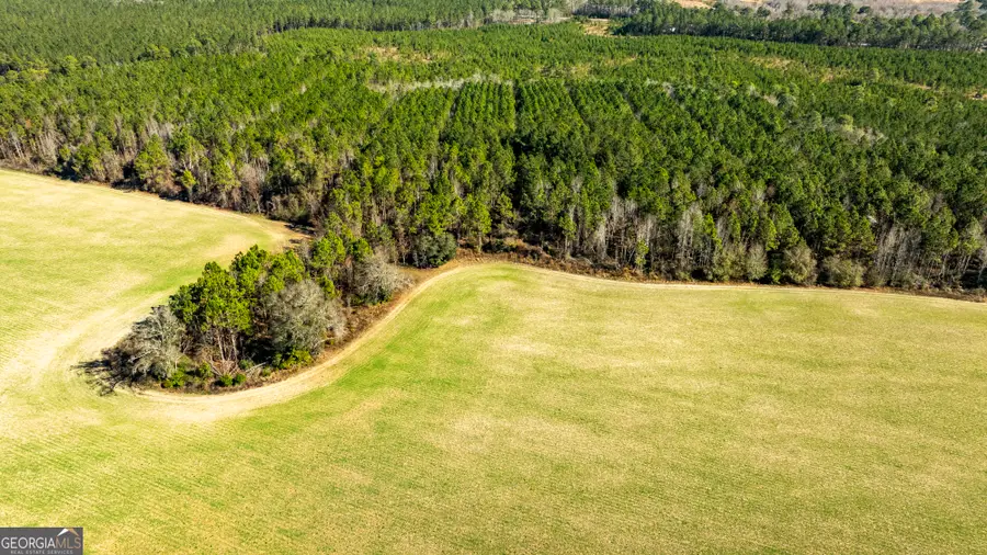 0 Sam Tillman, Statesboro, GA 30458 - #3