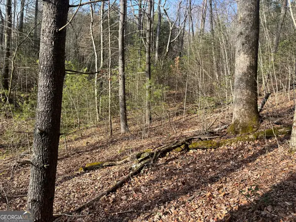 0 Winter Ct, Dillard, GA 30537