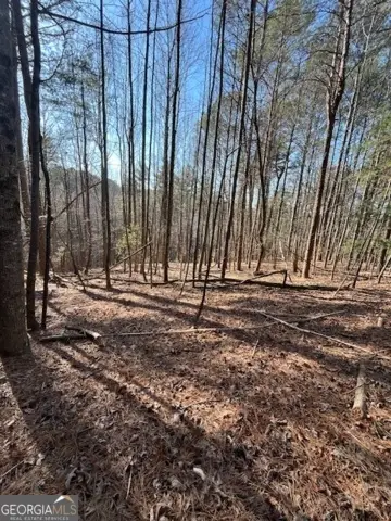 LOT 36R Lakeview Lane, Ellijay, GA 30536