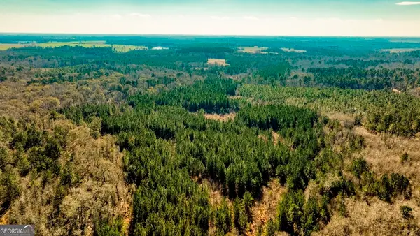 0 Crooked Road, Millen, GA 30442