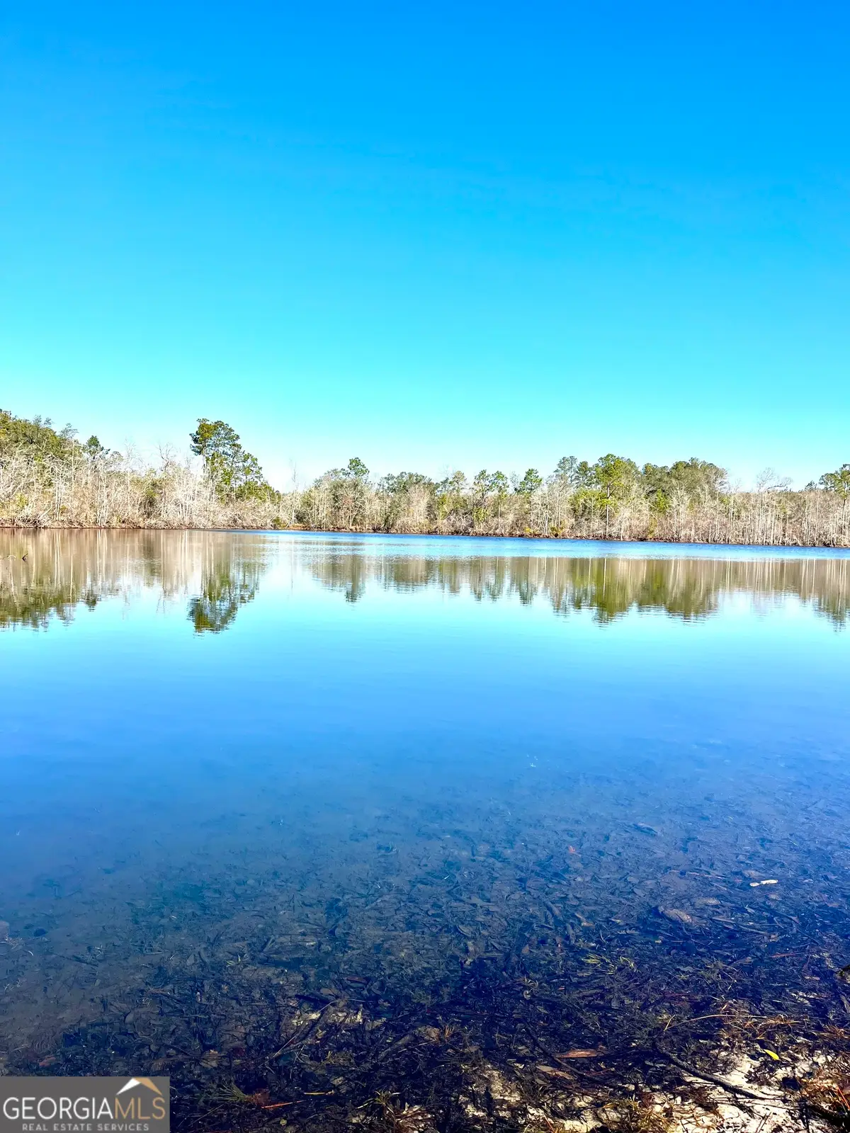 0 Lynntown Road, Collins, GA 30421 - #1