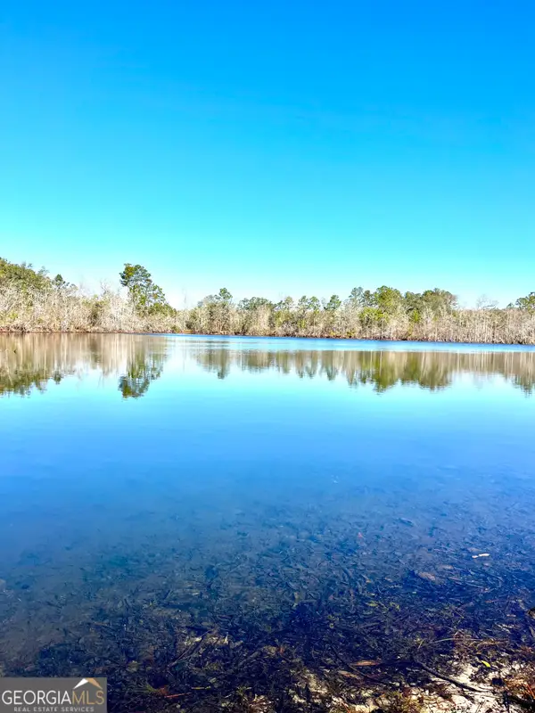 0 Lynntown Road, Collins, GA 30421