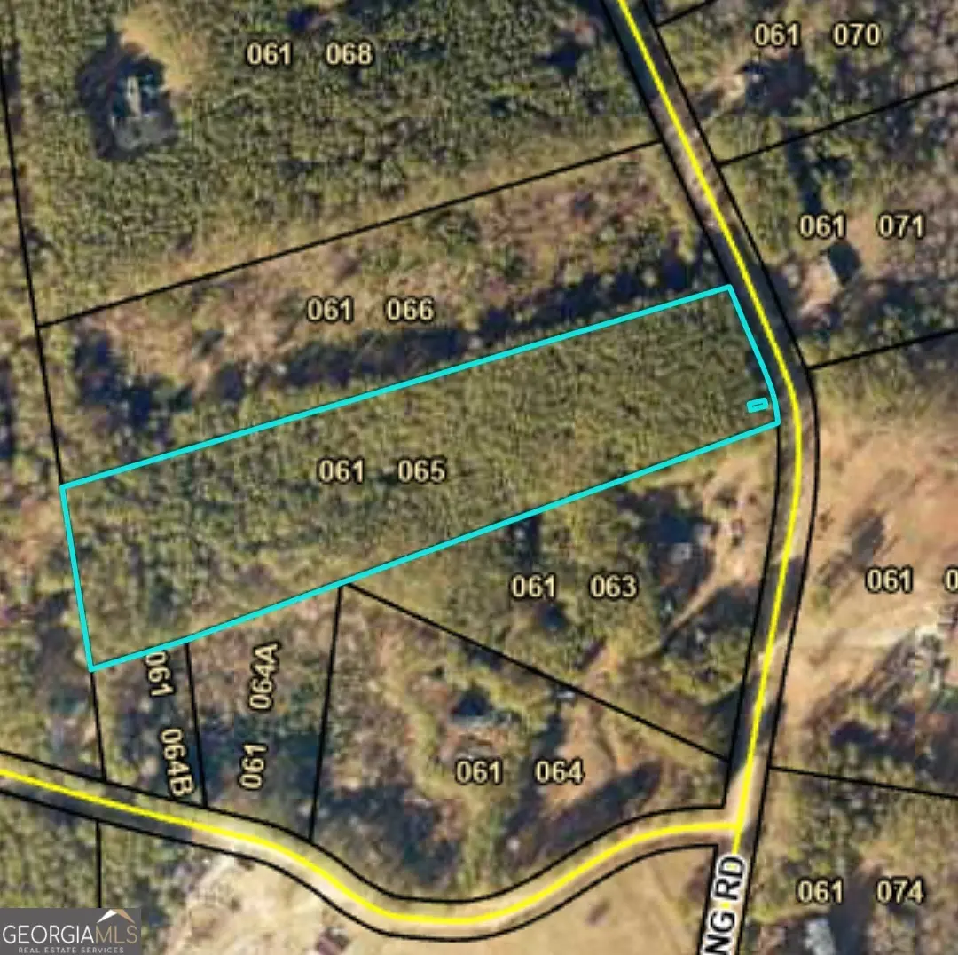 884 Swilling Road, Eastanollee, GA 30538 - #1