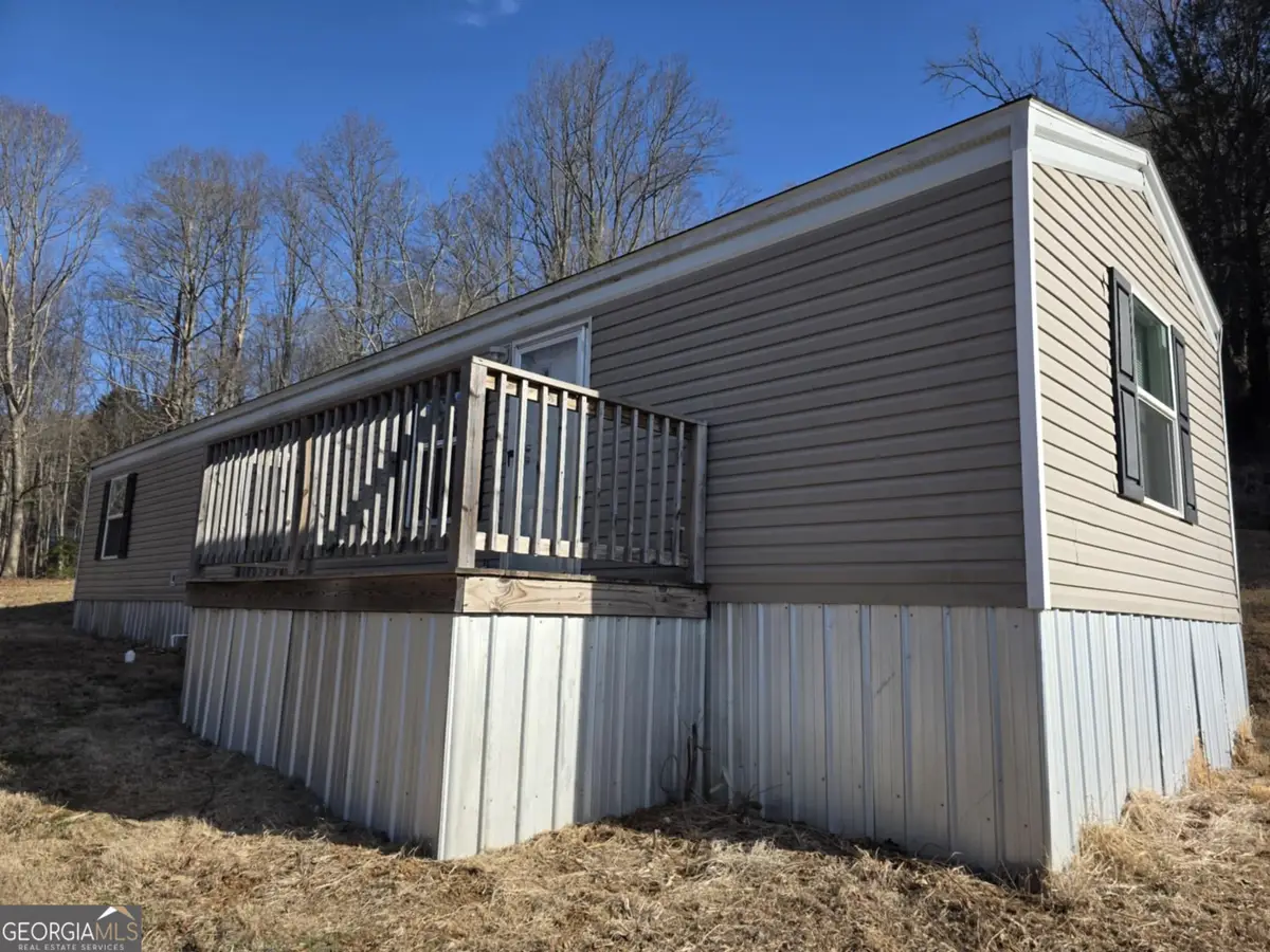 221B Cathey Road, Mountain City, GA 30562 - #1